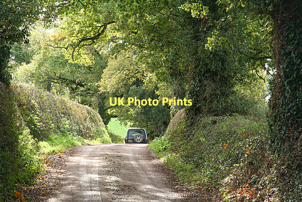 Photo 6"x4" Broadclyst: below Frogmore Cross Hollis Head c2011