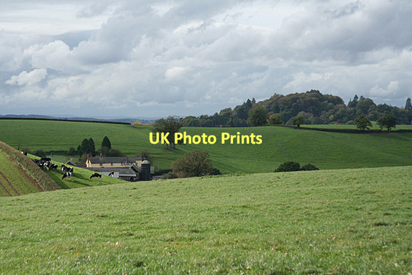 Photo 6"x4" Broadclyst: towards Lower Comberoy Farm Hollis Head c2011