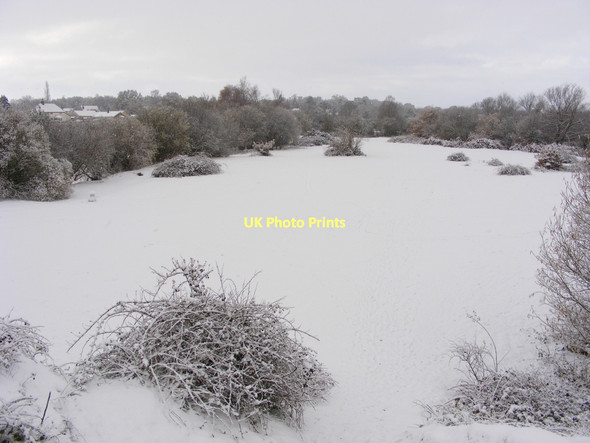 Photo 6"x4" Winter view over Broome Heath Broome\/TM3491 c2010