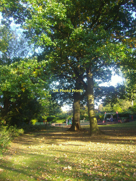 Photo 6"x4" Northway Gardens, Hampstead Garden Suburb Finchley c2011
