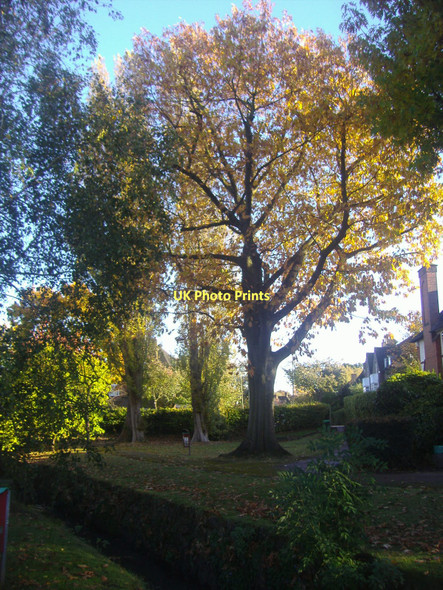 Photo 6"x4" Northway Gardens, Hampstead Garden Suburb Finchley c2011 P1