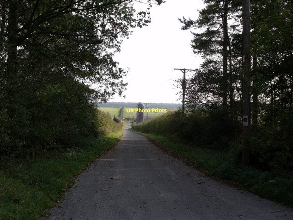 Photo 6"x4" Drive to Greenland Farm Great Limber c2011