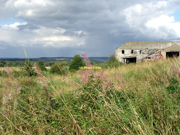 Photo 6"x4" Fields beside West Mains of Tullibardine near Auchterarder Tullibardine c2011