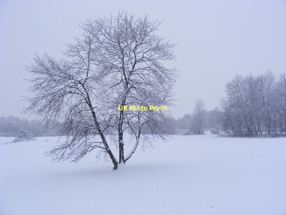 Photo 6"x4" Winter view of Broome Heath Broome\/TM3491 c2010