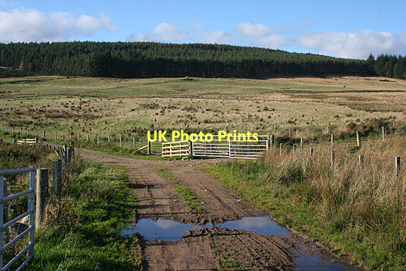 Photo 6"x4" Above Ardcanny Rothes c2011