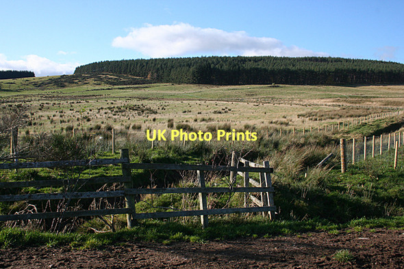 Photo 6"x4" Fields above Ardcanny Rothes c2011