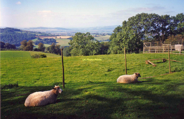 Photo 6"x4" View from Broadway Country Park Bury End\/SP0936 c1998