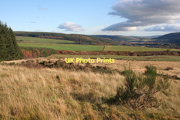 Photo 6"x4" Above Ardcanny Rothes c2011