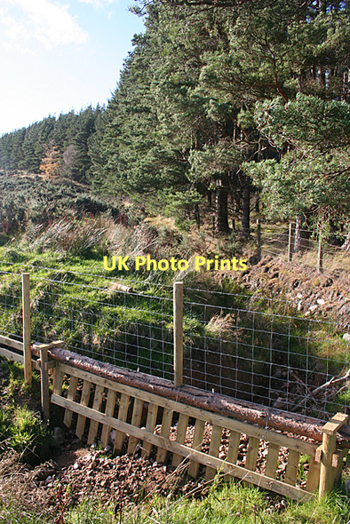 Photo 6"x4" New Fence Rothes c2011