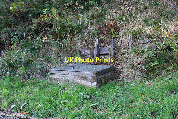 Photo 6"x4" Is it a spring? Rothes c2011