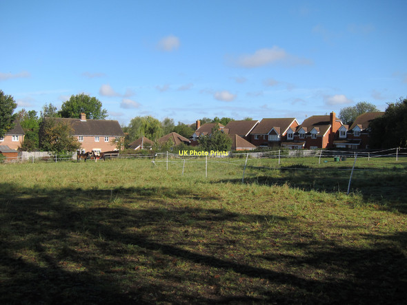 Photo 6"x4" Horse paddock, Caxton Caxton c2011