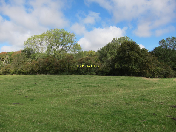 Photo 6"x4" Toseland Wood Toseland c2011