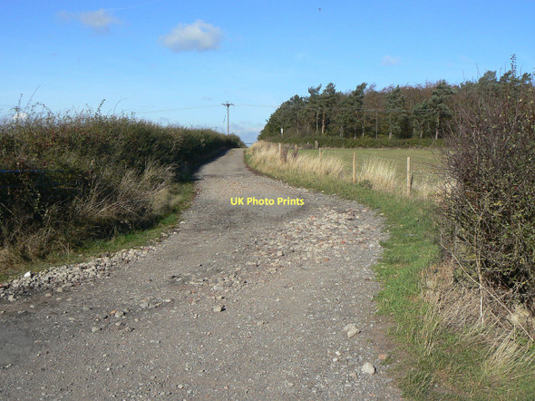 Photo 6"x4" Wolds Lane Clipston\/SK6334 c2011
