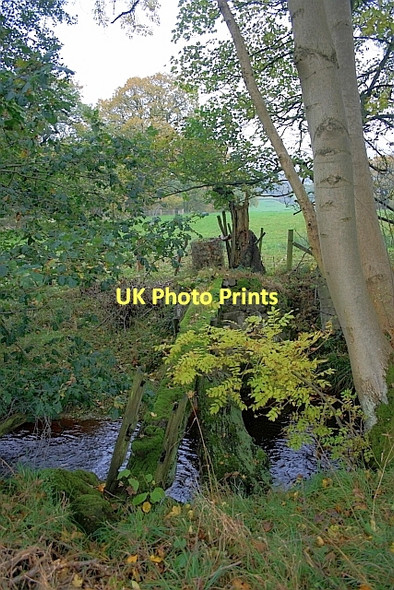Photo 6"x4" Remains of Old Footbridge Cockayne c2011