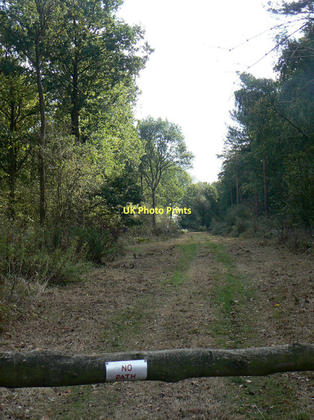 Photo 6"x4" No Path Clipston\/SK6334 c2011