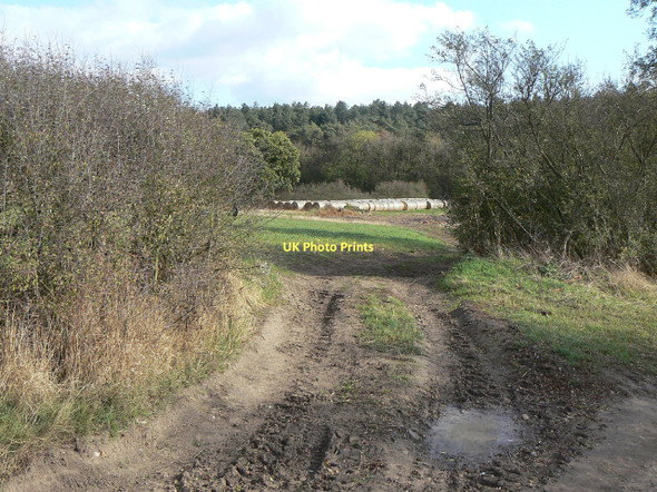 Photo 6"x4" Field gateway on Wolds Lane Clipston\/SK6334 c2011