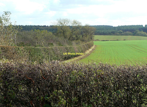 Photo 6"x4" View from Clipston Lane Clipston\/SK6334 c2011