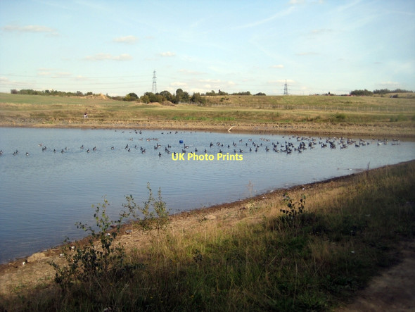 Photo 6"x4" Canada Geese - Newlands Normanton\/SE3822 c2011