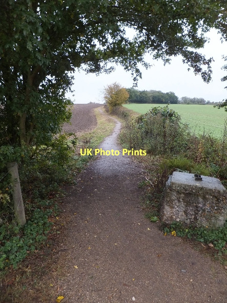 Photo 6"x4" Bridleway leading to Ayres End Lane Ayres End c2011