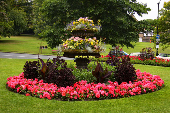 Photo 6"x4" Flowerbed on Montpelier Hill Harrogate c2011
