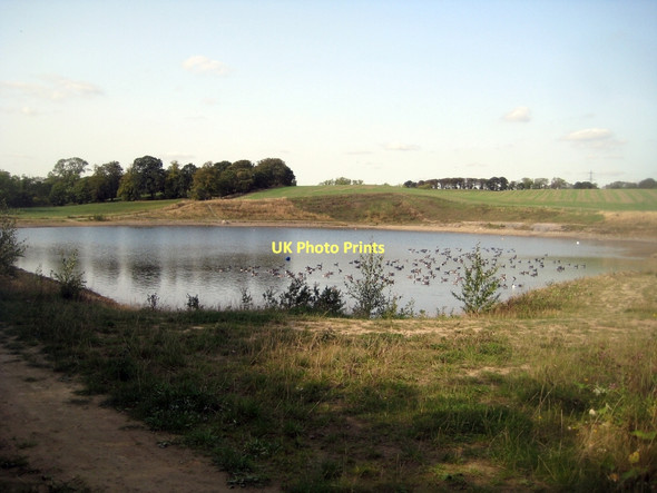 Photo 6"x4" Canada Geese - Newlands (2) Normanton\/SE3822 c2011