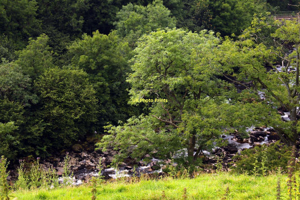 Photo 6"x4" The River Ribble near Stainforth Helwith Bridge c2011