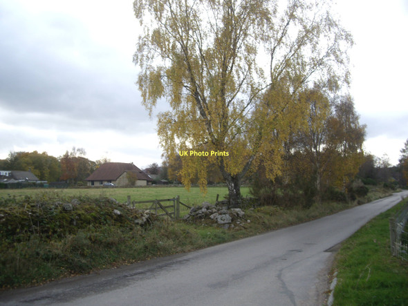 Photo 6"x4" Autumn at Upper Lochton Banchory\/NO6995 c2011