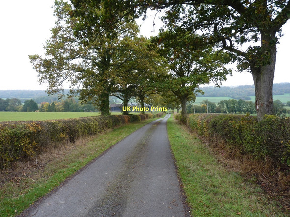 Photo 6"x4" The track down to The Coats East Wall c2011