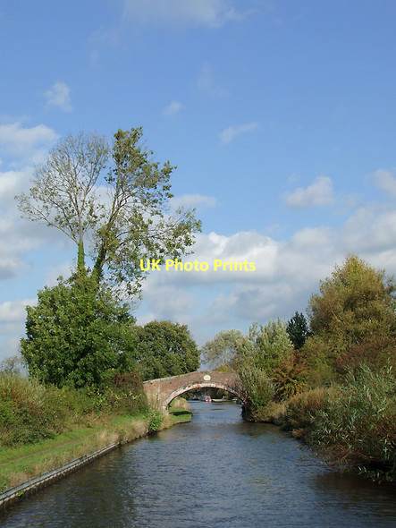 Photo 6"x4" Approaching Hazlestrine Bridge south-east of Stafford Wildwood c2011