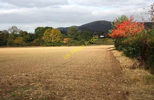 Photo 6"x4" Arable land off Mill Lane, Colwall Colwall c2009