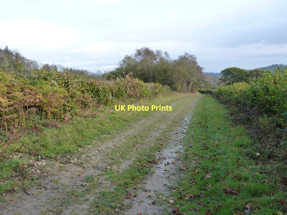 Photo 6"x4" The Jack Mytton Way Eaton\/SO5090 c2011