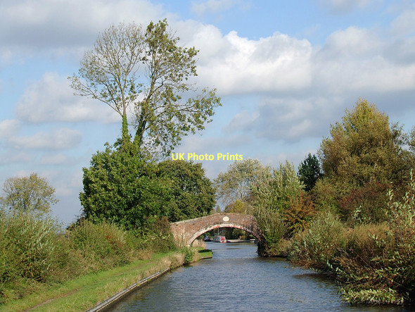 Photo 6"x4" Approaching Hazlestrine Bridge south-east of Stafford Wildwood c2011