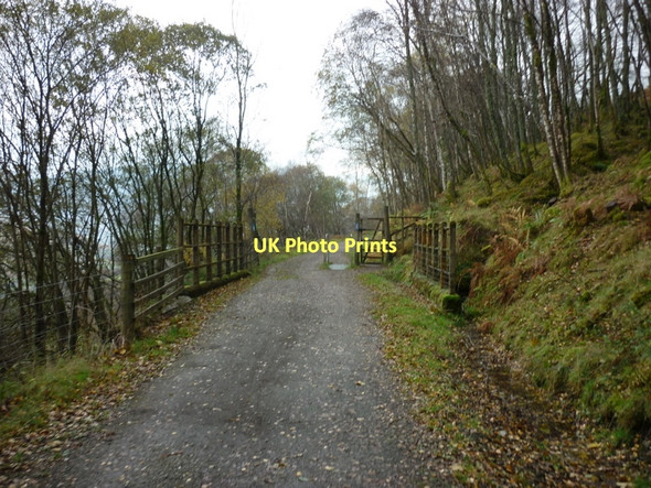 Photo 6"x4" Walking the Rob Roy Way Lochearnhead c2011