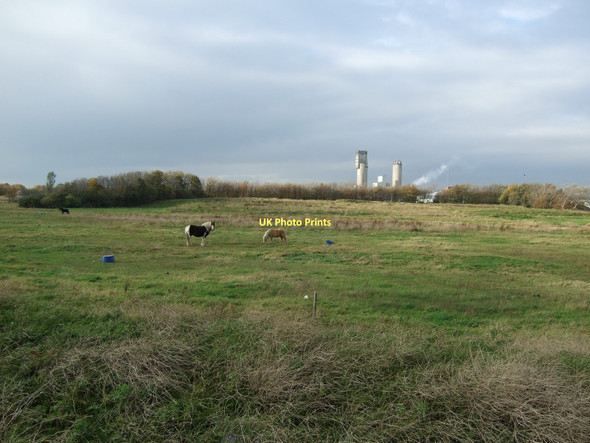 Photo 6"x4" Grazing land, Middlesbrough Port Clarence c2011