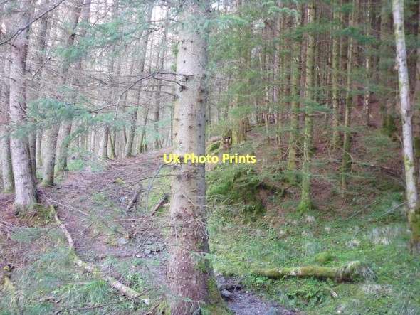 Photo 6"x4" Walking to Loch Earn via Glen Ample Ardchullarie More c2011
