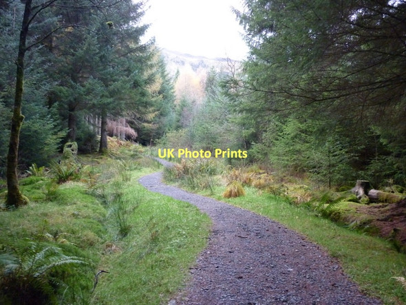 Photo 6"x4" Walking up Ben Ledi Kilmahog c2011 P1