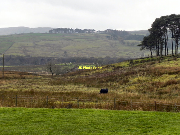 Photo 6"x4" View From Tebay Services (2) Greenholme\/NY5905 c2011