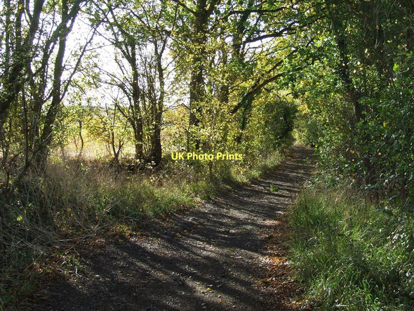 Photo 6"x4" Long Lane Hickford Hill c2011 P1
