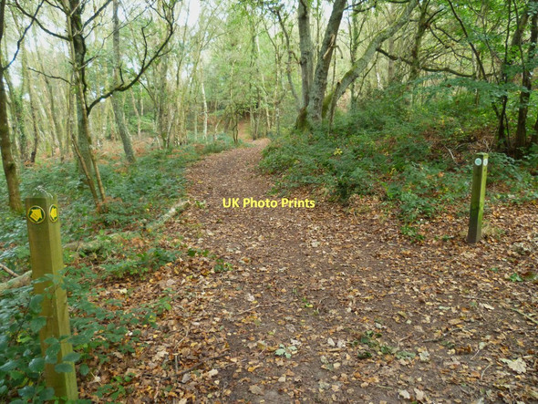 Photo 6"x4" Orange Way in Devon and Torbay (113) Newton Abbot c2011