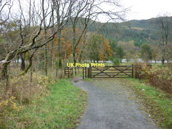 Photo 6"x4" Walking the Rob Roy Way Ardchullarie More c2011 P1