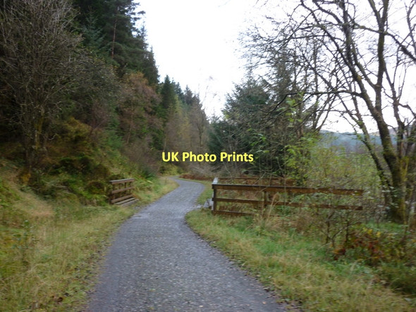 Photo 6"x4" Walking the Rob Roy Way Ardchullarie More c2011