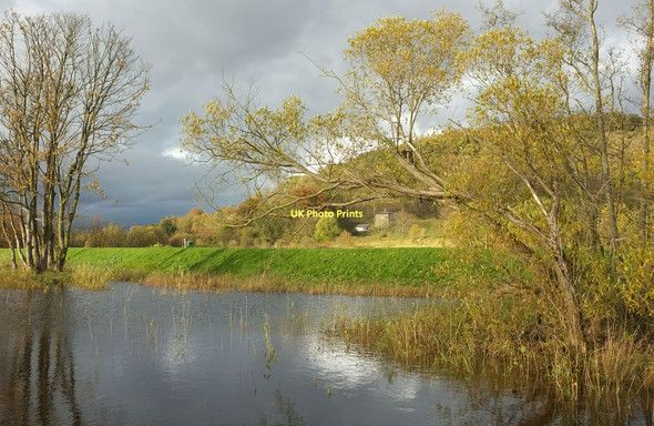 Photo 6"x4" Wetlands at Willowgate Perth\/NO1123 c2011
