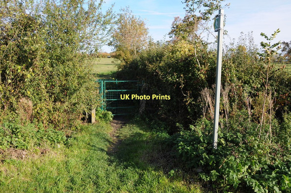 Photo 6"x4" Footpath to Millend Middle Street c2011