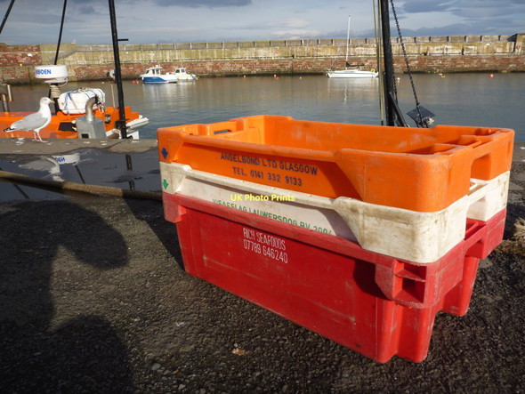 Photo 6"x4" Coastal East Lothian : New Kid In Town Dunbar c2011