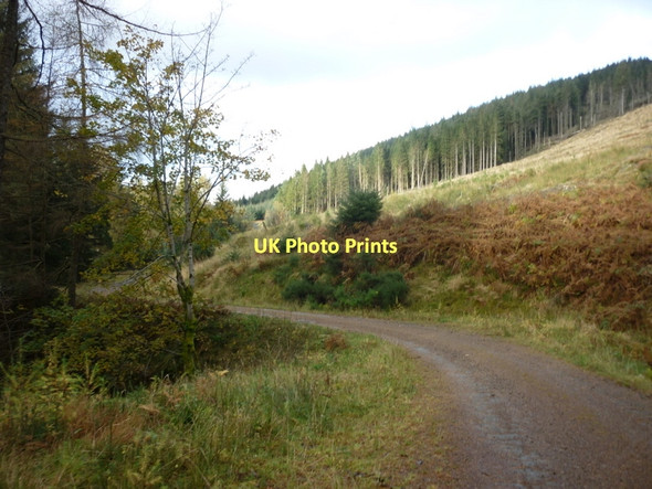Photo 6"x4" Walking the Rob Roy Way Strathyre\/NN5617 c2011 P1