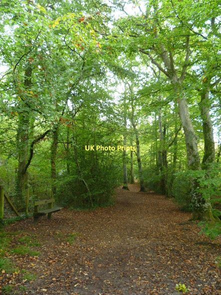 Photo 6"x4" Orange Way in Devon and Torbay (115) Newton Abbot c2011