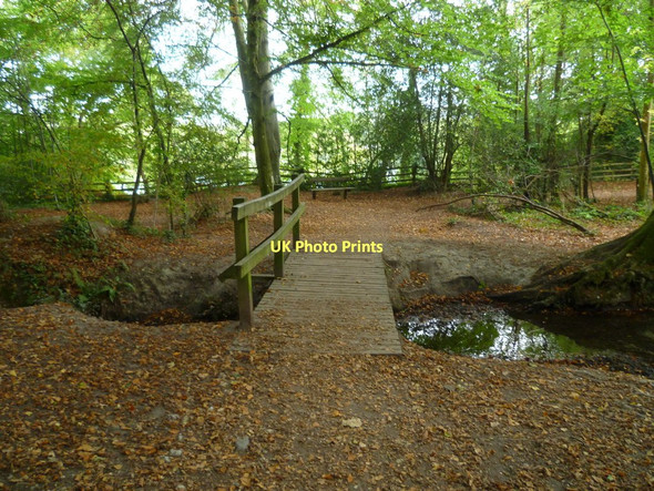 Photo 6"x4" Orange Way in Devon and Torbay (116) Newton Abbot c2011