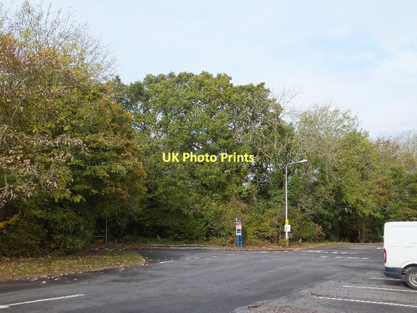 Photo 6"x4" The east end of Leigh Delamere service area car park Leigh Delamere c2011