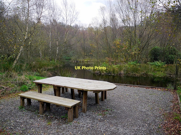 Photo 6"x4" Pond in Miltonrigg Wood Milton\/NY5560 c2011