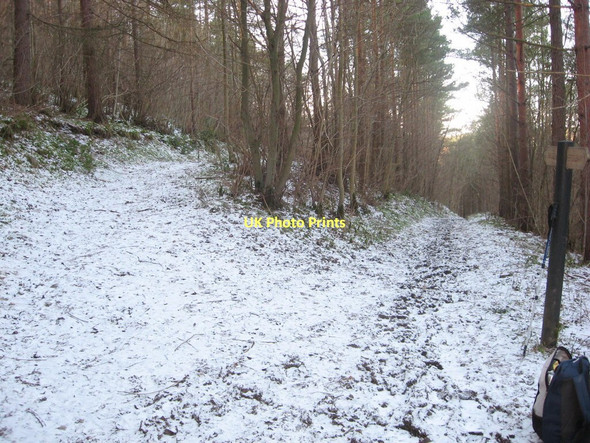 Photo 6"x4" Mell Bank Wood Fadmoor c2010
